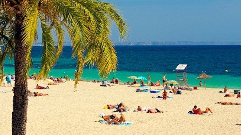 Alarma fecal en las playas de Mallorca: Estas regiones están afectadas