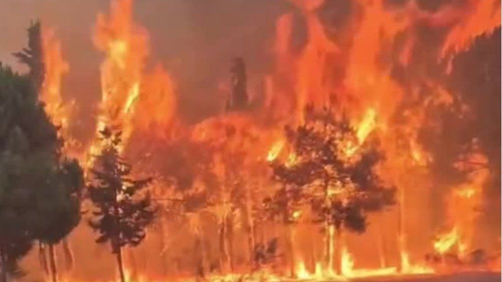 Video: Heftige Waldbrände wüten in Spanien und Frankreich