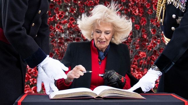 Plötzlich stehen Königin Camilla die Haare zu Berge