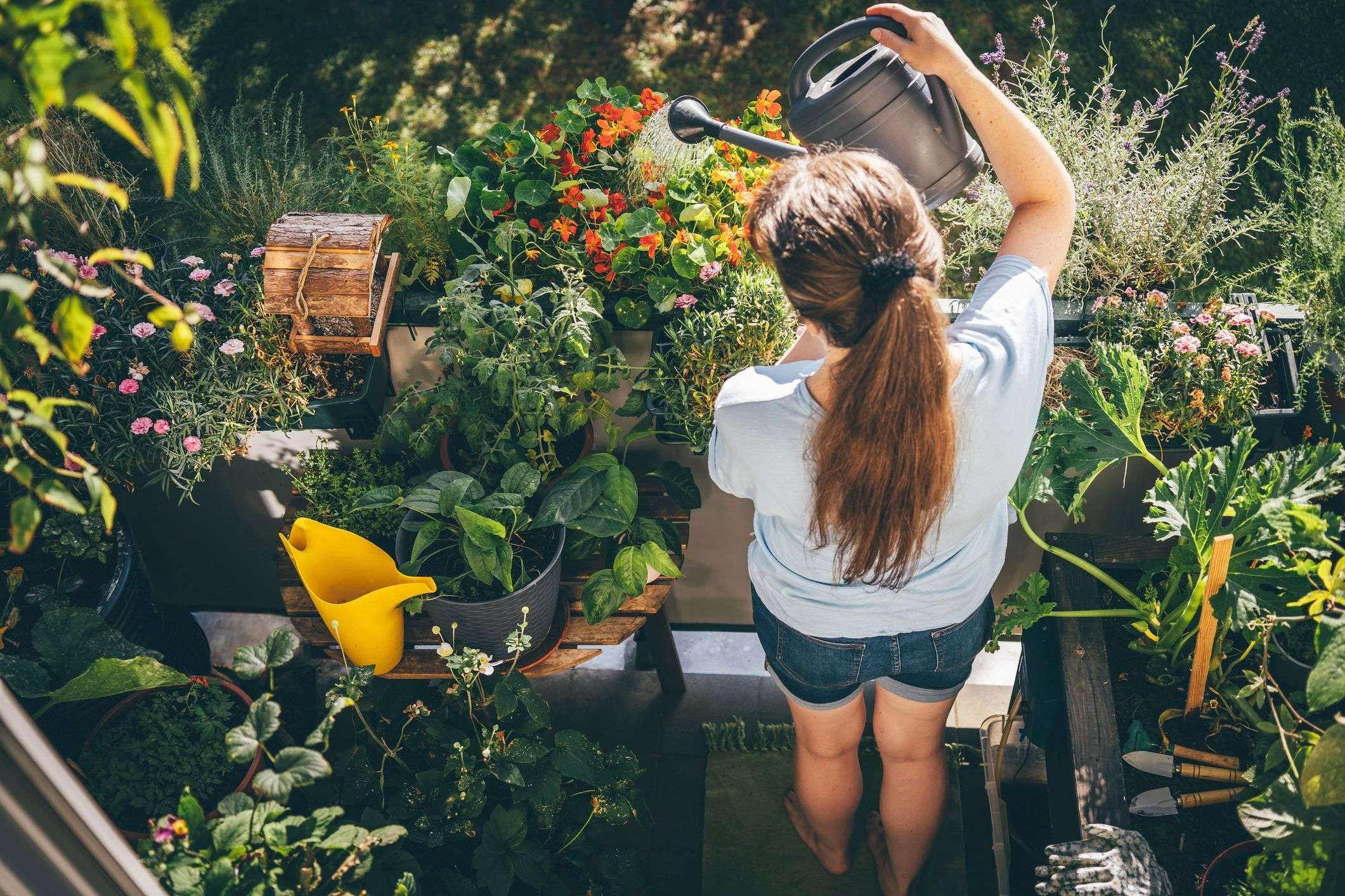 Plant Care: 4 Zodiac Signs Have No Green Thumb