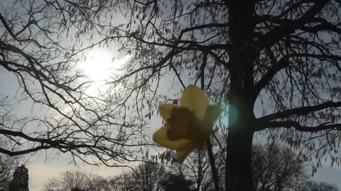 13. milder Winter in Folge - Februar bricht Rekord