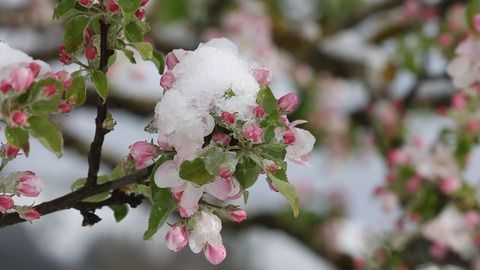 Aprilwetter in Bayern: Regen und Schnee nach sommerlichem Wochenende