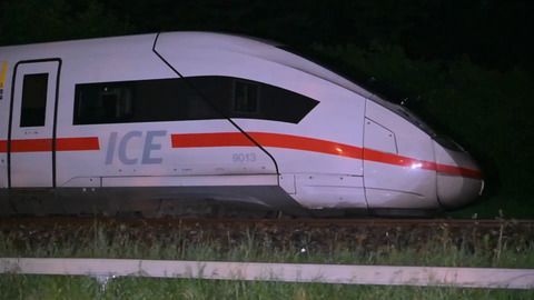 ICE-Waggons entgleisen nach Erdrutsch - «Hat bisschen gerumpelt»