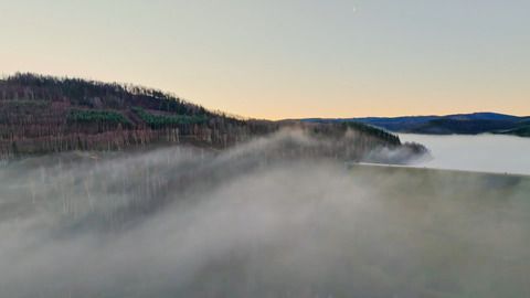 Mystischer Morgennebel verwandelt Harz in ein Zauberreich