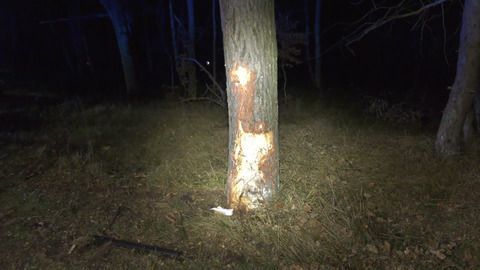 Video: Schwerer Unfall bei Göhlen: 15-Jährige schwebt in Lebensgefahr
