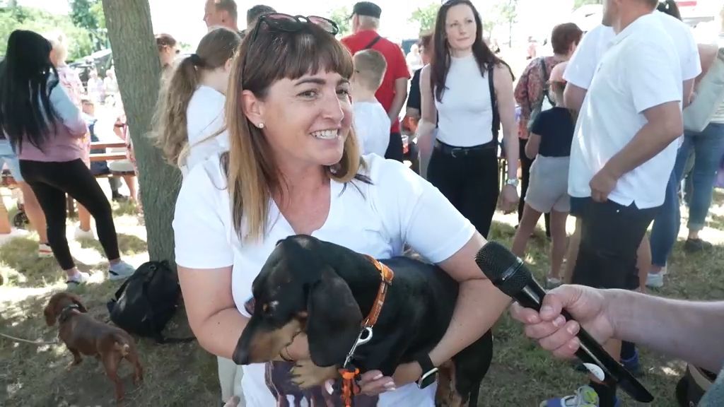 Dachshund Racing: Who Has the Fastest Waldi?