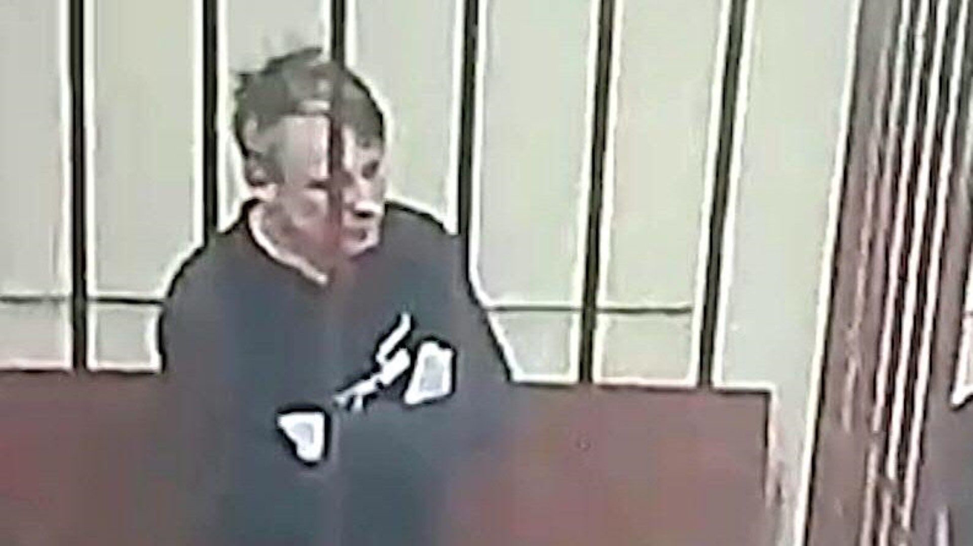 Russland: Journalisten wegen Nawalny-Videos in Haft