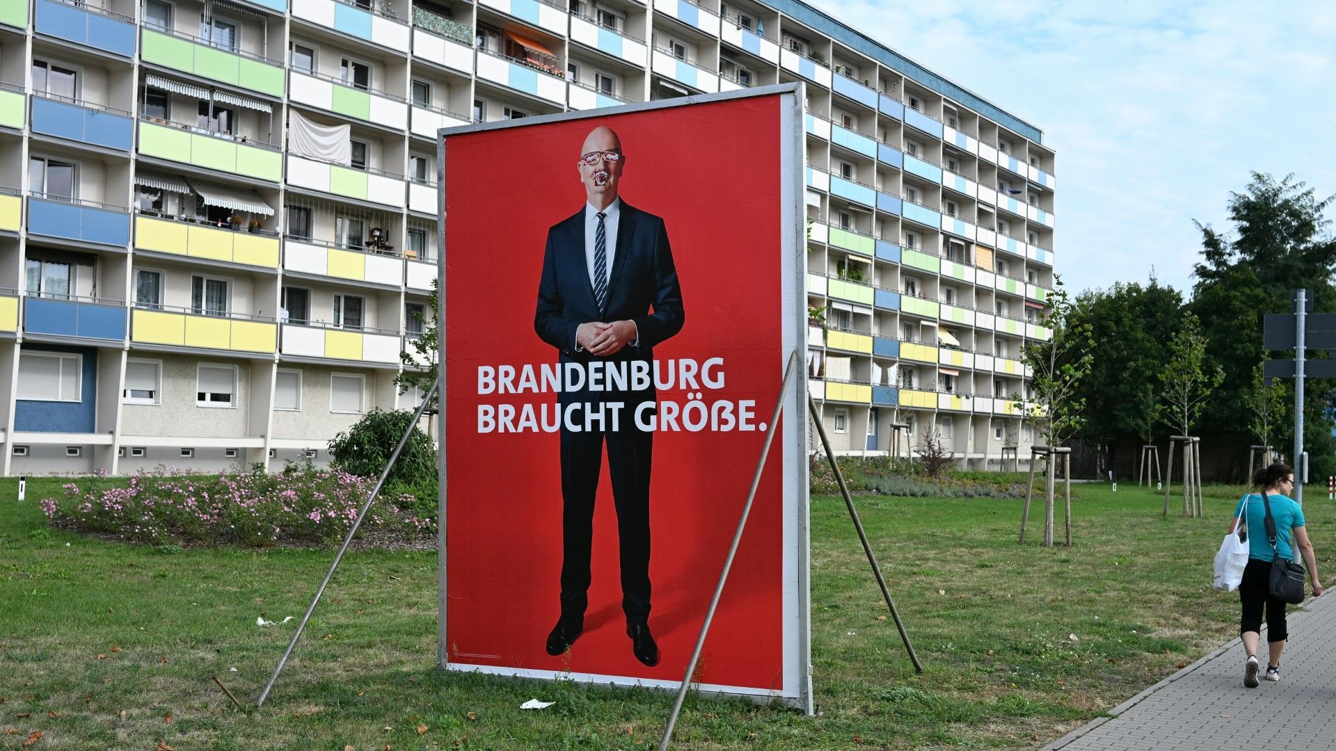 Wahl in Brandenburg: SPD droht Schlappe - AfD in Umfragen vorne