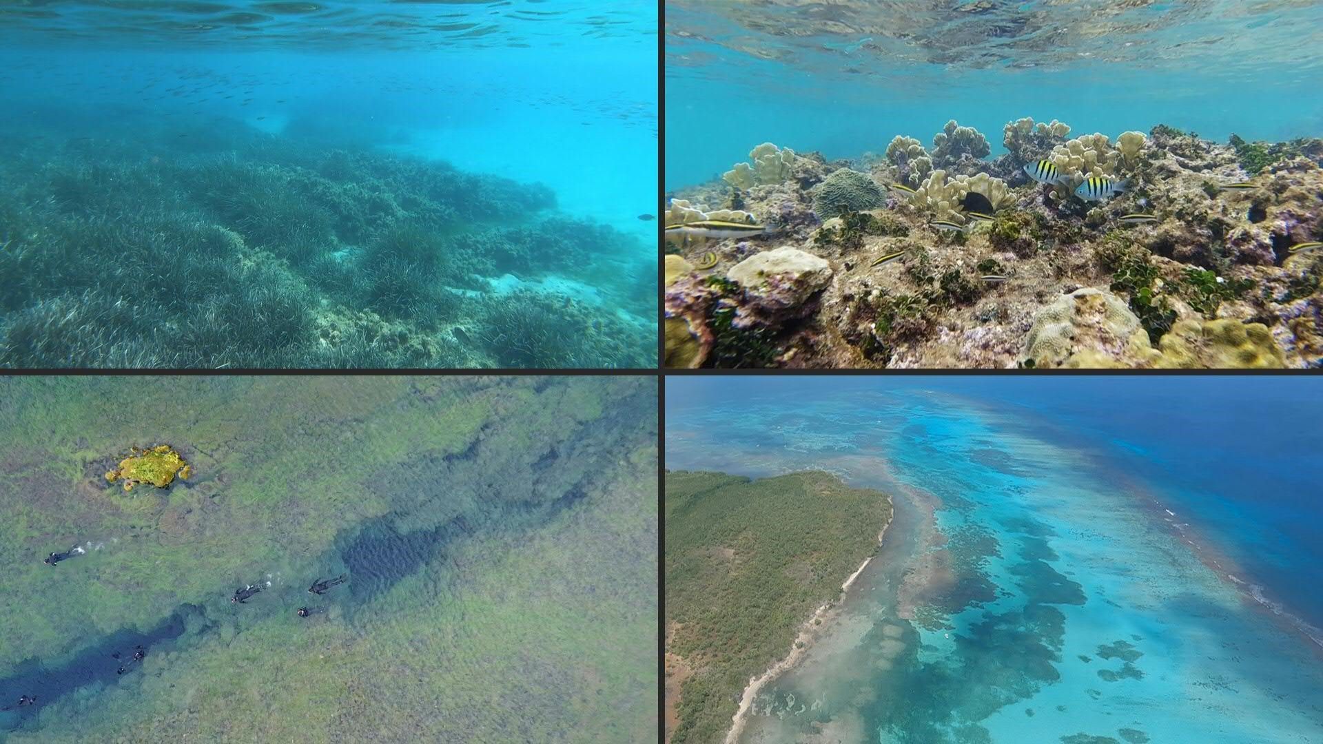 Global Warming, Acidification, Pollution: Stress for the Oceans