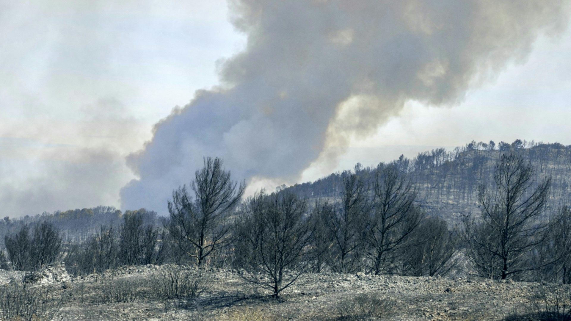 Großbrand in Südfrankreich breitet sich weiter aus