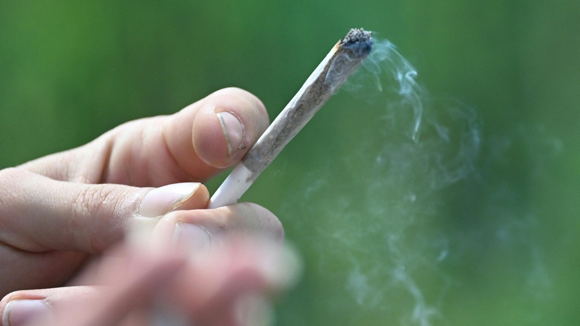 Teillegalisierung von Cannabis ist „bedeutendste Entkriminalisierung“