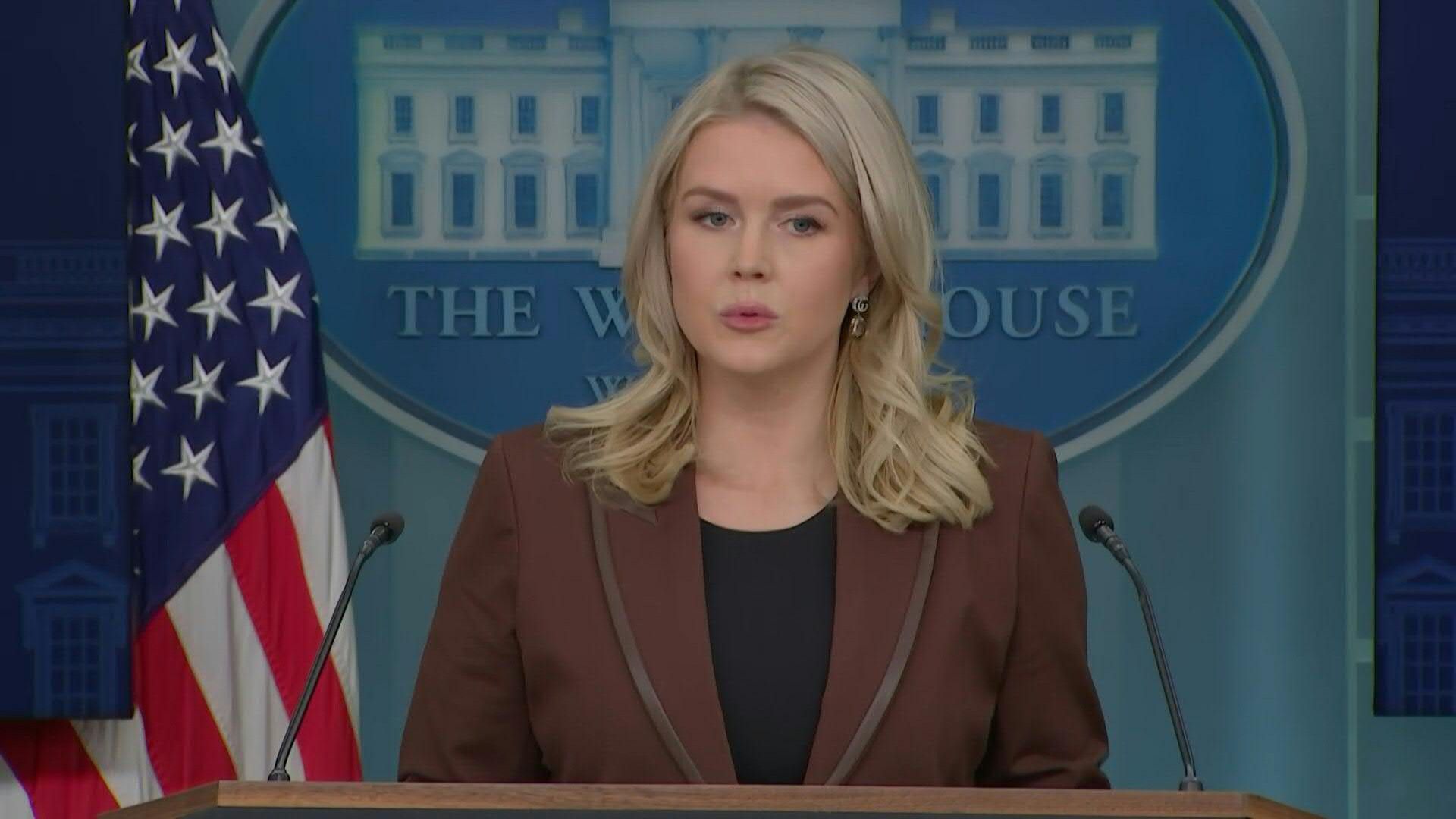 Video: Trump did 'nothing wrong' in Epstein scandal: White House