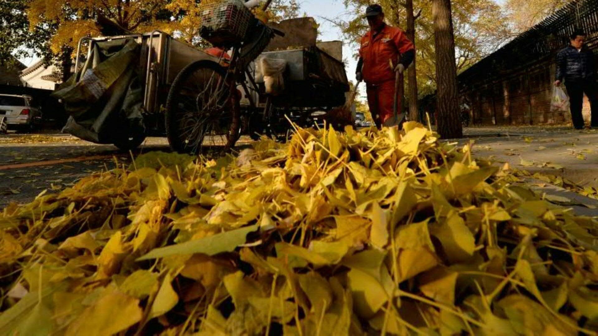 Ratgeber: Darauf müssen Autofahrer im Herbst achten