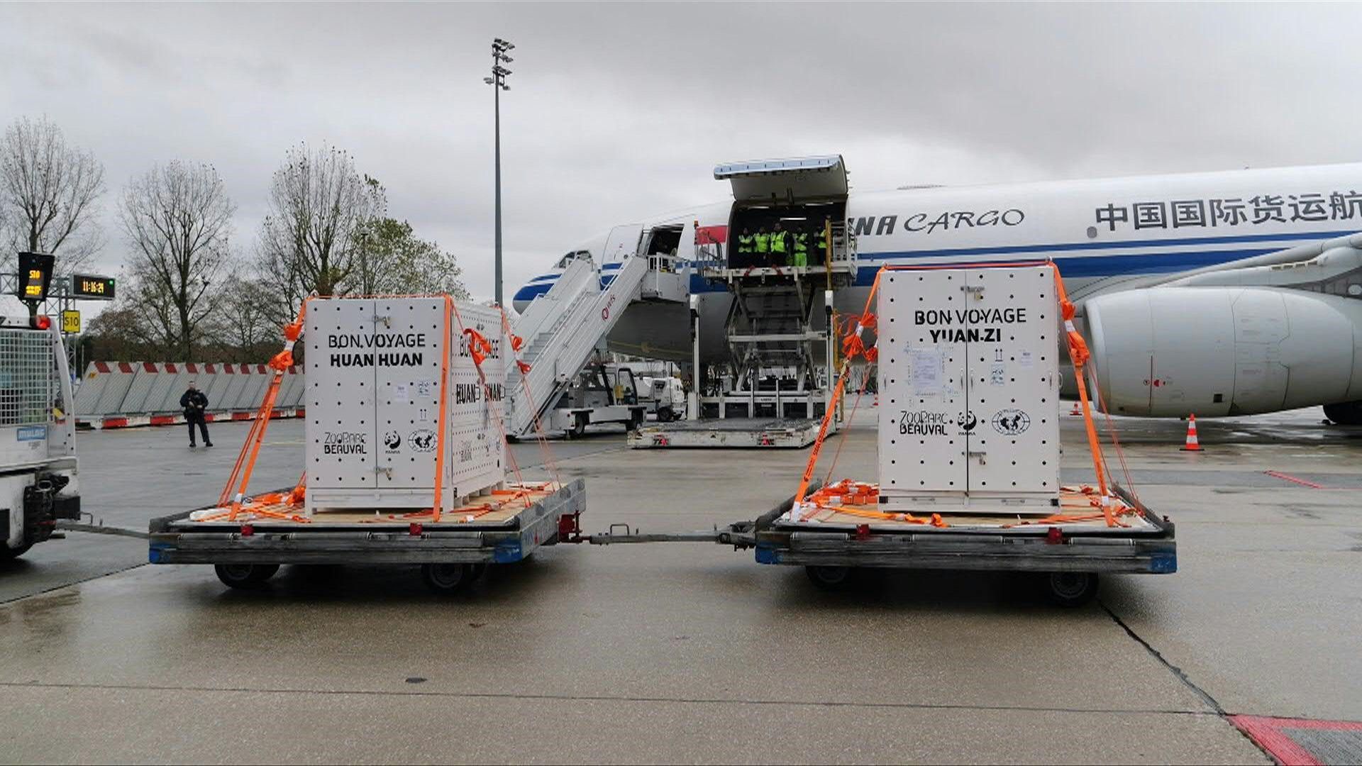 Giant pandas loaded onto plane for return to China