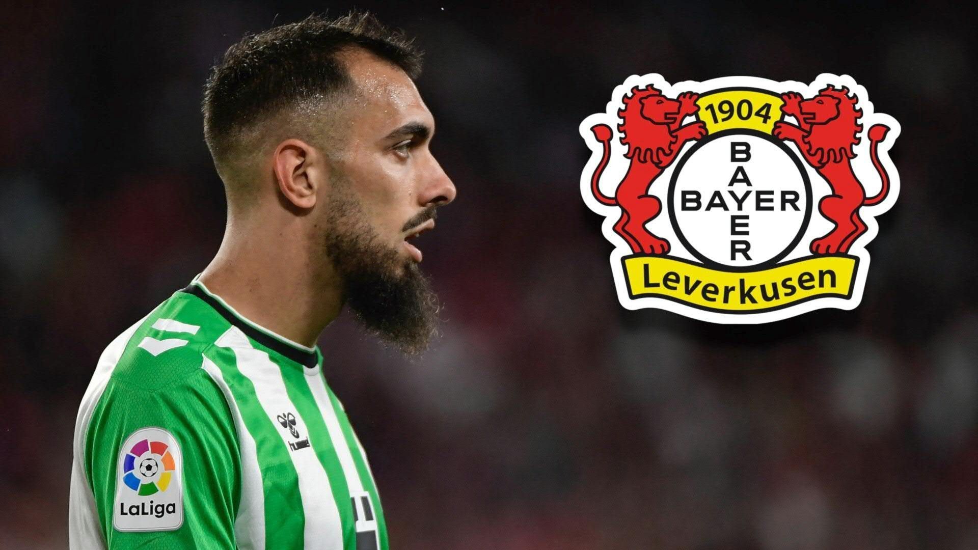 Boniface-Ersatz: Leverkusen holt Spanier Iglesias