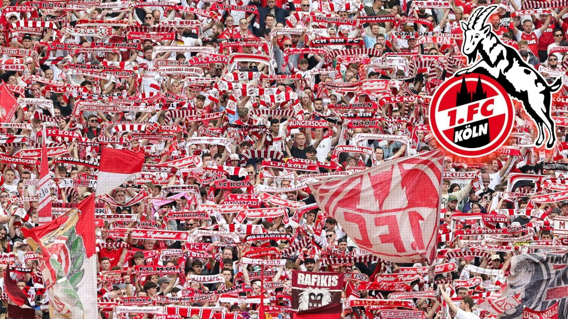 Video: "Meilenstein": 1. FC Köln knackt Marke von 150.000 Mitgliedern