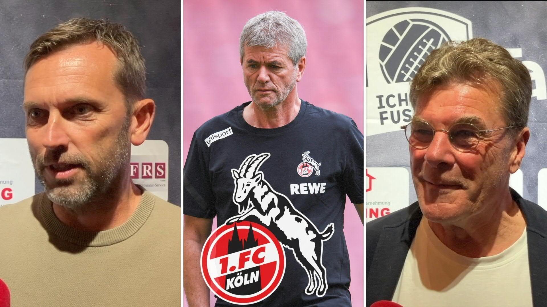 „Wird bluten müssen“: Hecking zur Funkel-Rückkehr beim 1. FC Köln