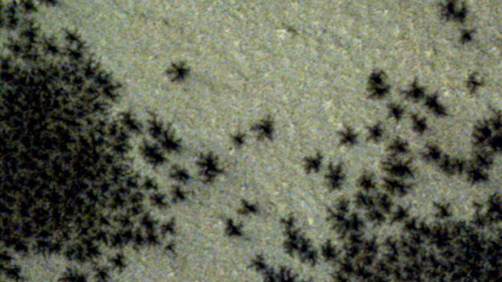 Mars-Sensation: Woher kommen die „Spinnen" auf dem Mars und was steckt dahinter?