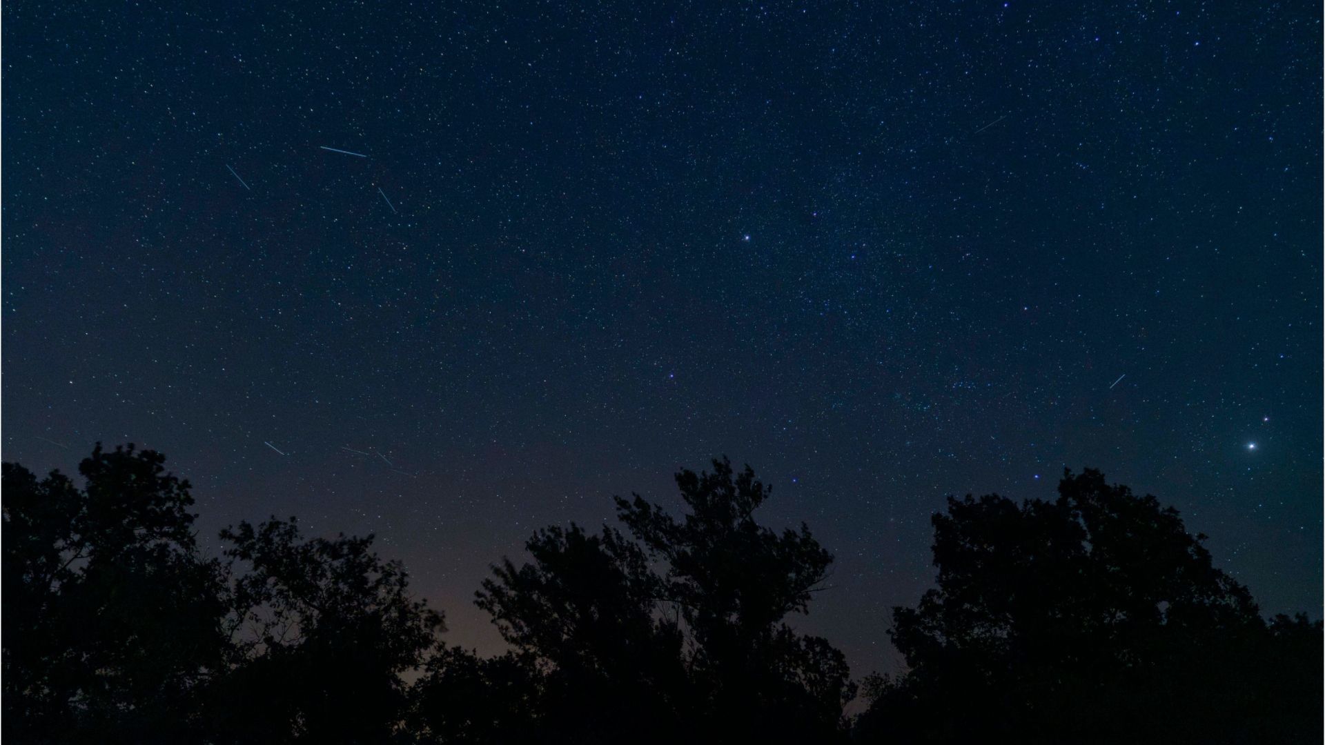 Perseids 2025: The peak of the meteor shower will be reached on Tuesday evening