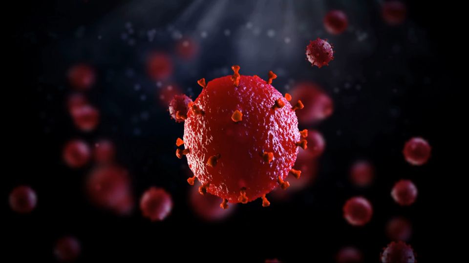 Coronavirus: Was wir über das Virus wissen