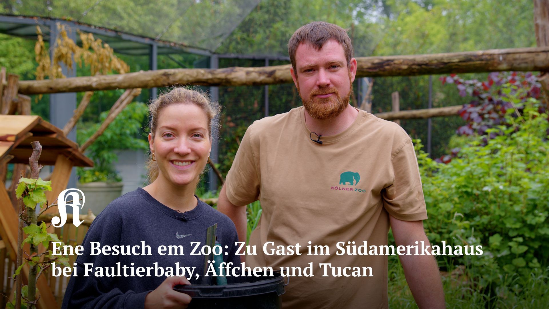 Besuch im Südamerikahaus des Kölner Zoos: Zu Gast bei Faultierbaby, Äffchen und Tucan