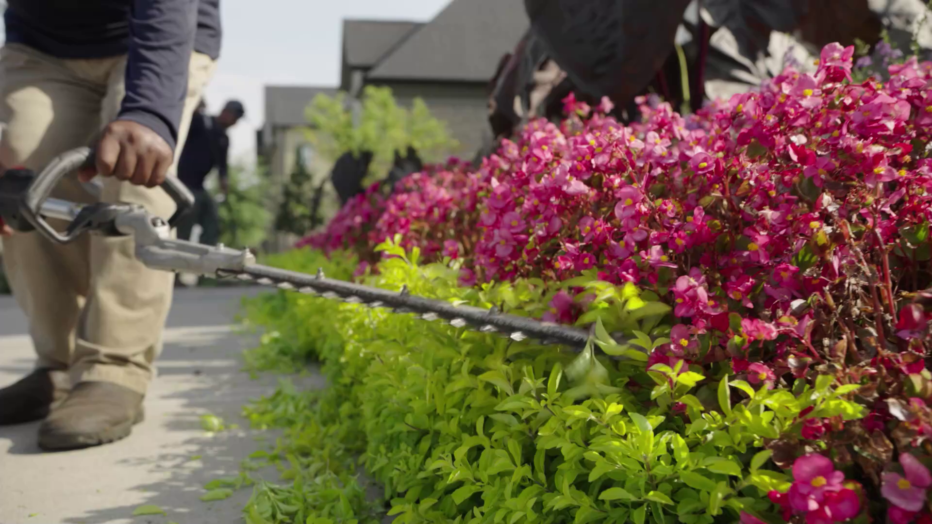 Geld sparen beim Gärtnern: So setzt du Gartenarbeit von der Steuer ab
