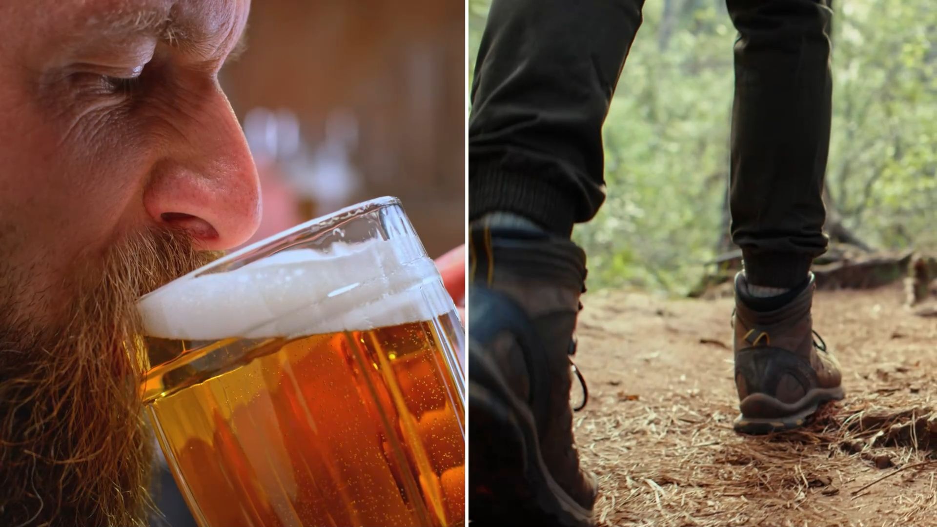 Beer Hikes in Franconia: These are the Most Beautiful Trails