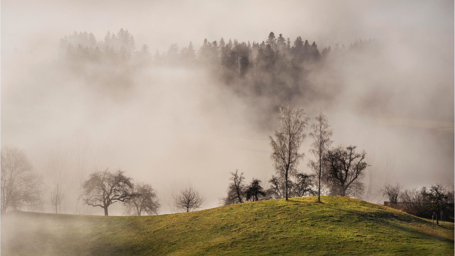 Hochwasserlage in Bayern entspannt sich - zumindest vorerst