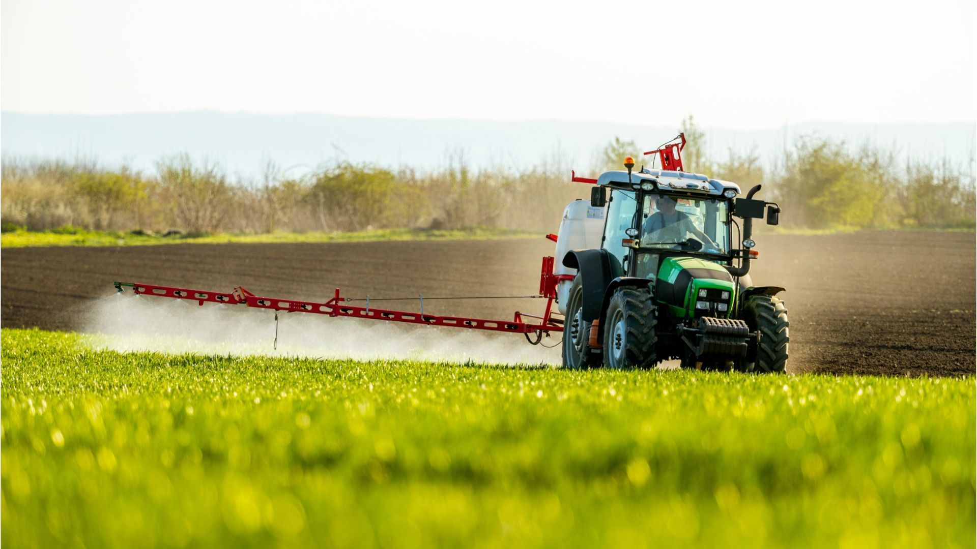 Zulassung von Unkrautvernichter Glyphosat in EU wird verlängert