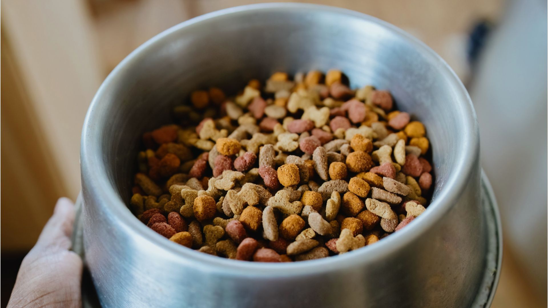 Verletzungsgefahr: Große Handelskette startet Rückruf bei Hundefutter