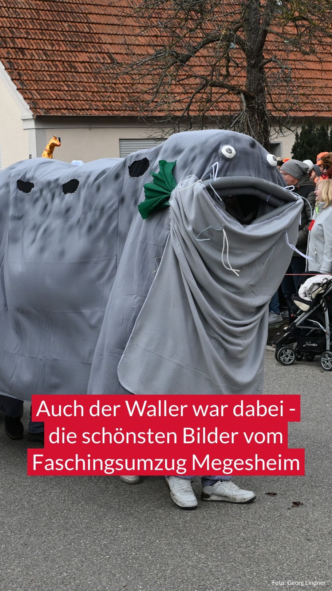 Video: Faschingsumzug in "Mechasa"