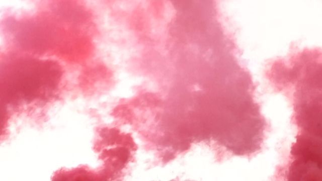 Protest beim Konklave: Rosa Rauch fordert Gleichberechtigung