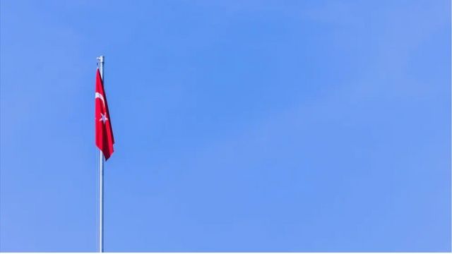 Linke teilt mit: 16 deutsche Aktivisten und Journalisten in Türkei festgesetzt