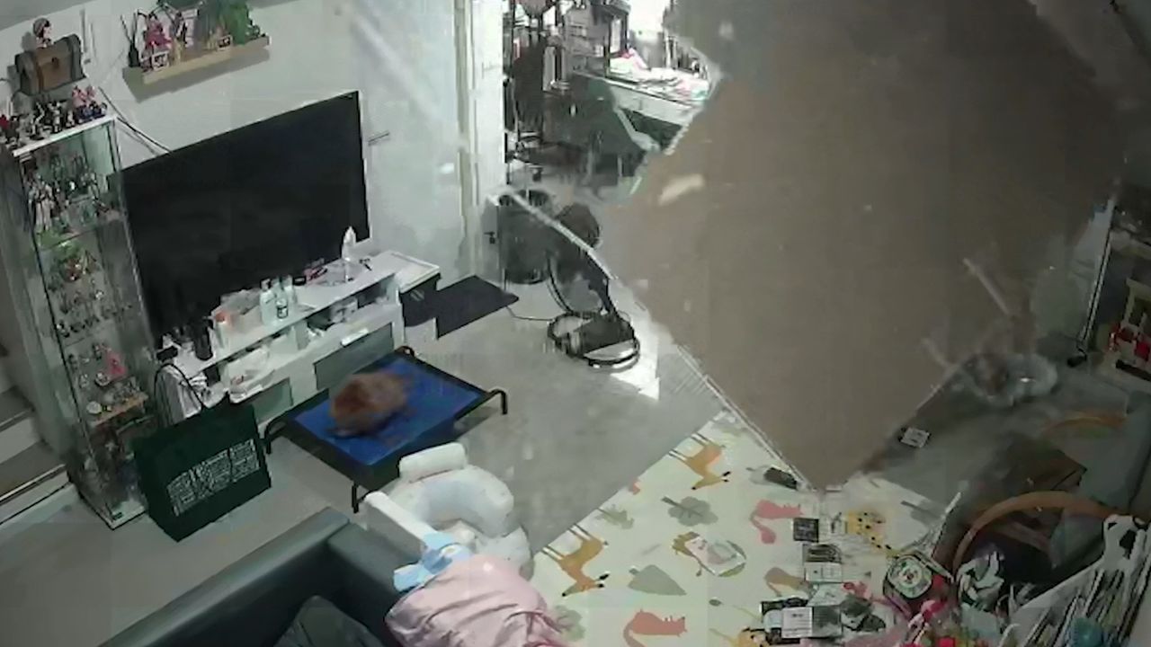 Termiten im Haus: Mutter bringt Baby ins Bett – plötzlich stürzt die Decke ein