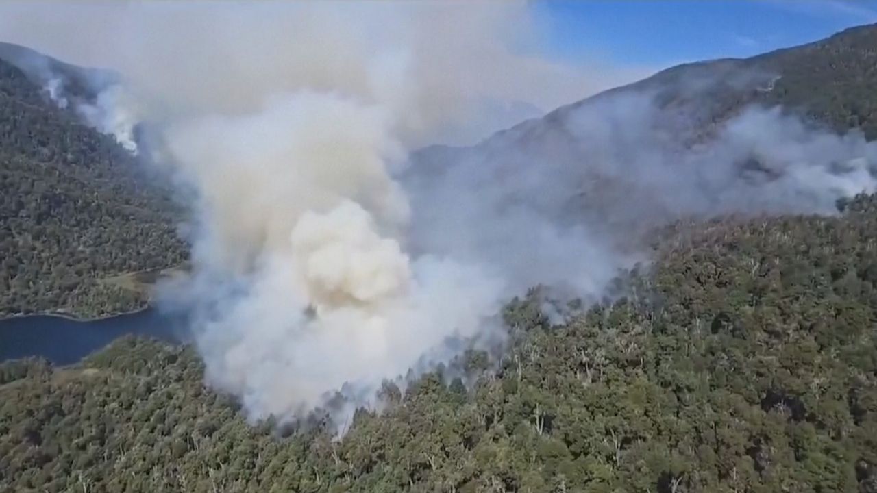 Argentinien: Waldbrände verwüsten Naturschutzgebiet in Patagonien