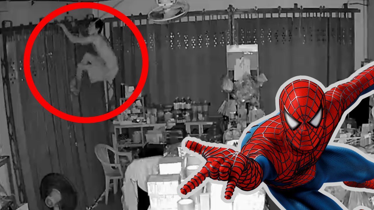 Wie Spider-Man: Sportlicher Einbrecher verschwindet in der Decke