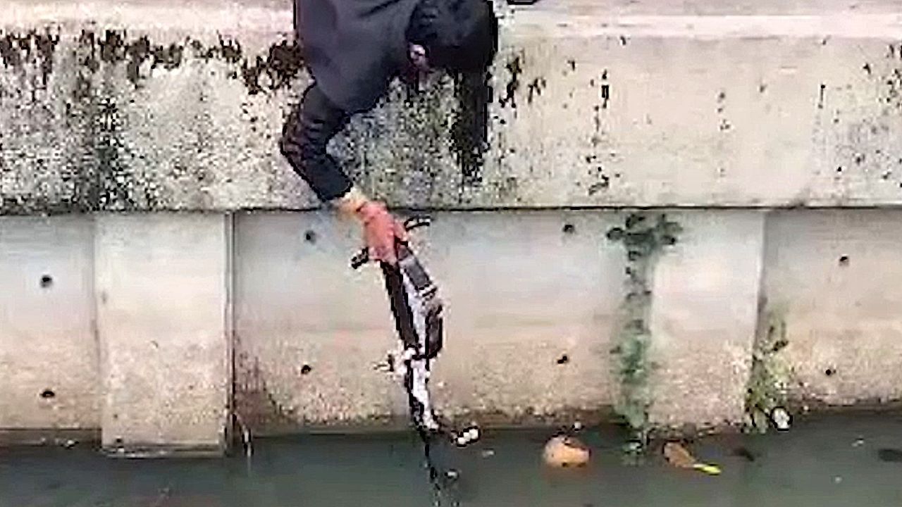 Kätzchen kämpft um sein Leben: Büroangestellte retten Tierbaby aus Kanal
