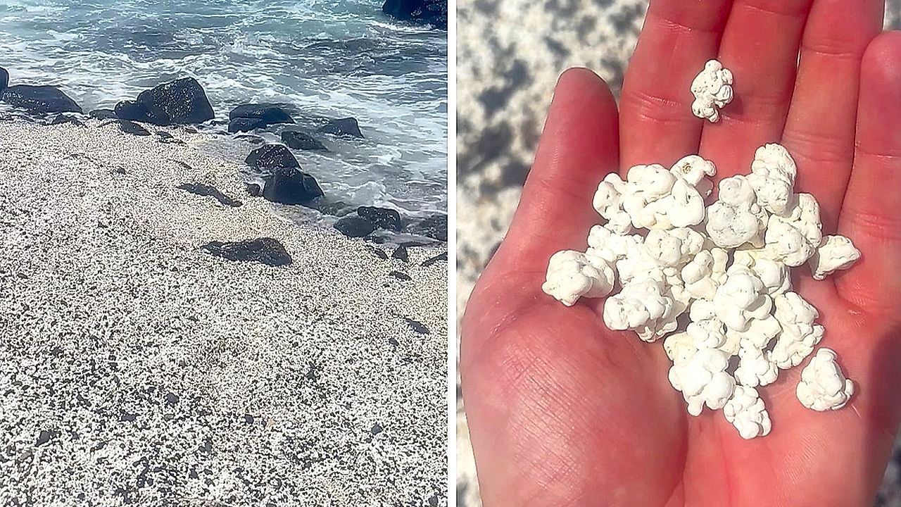 Popcorn-Strand auf Fuerteventura überrascht mit fossilem Phänomen