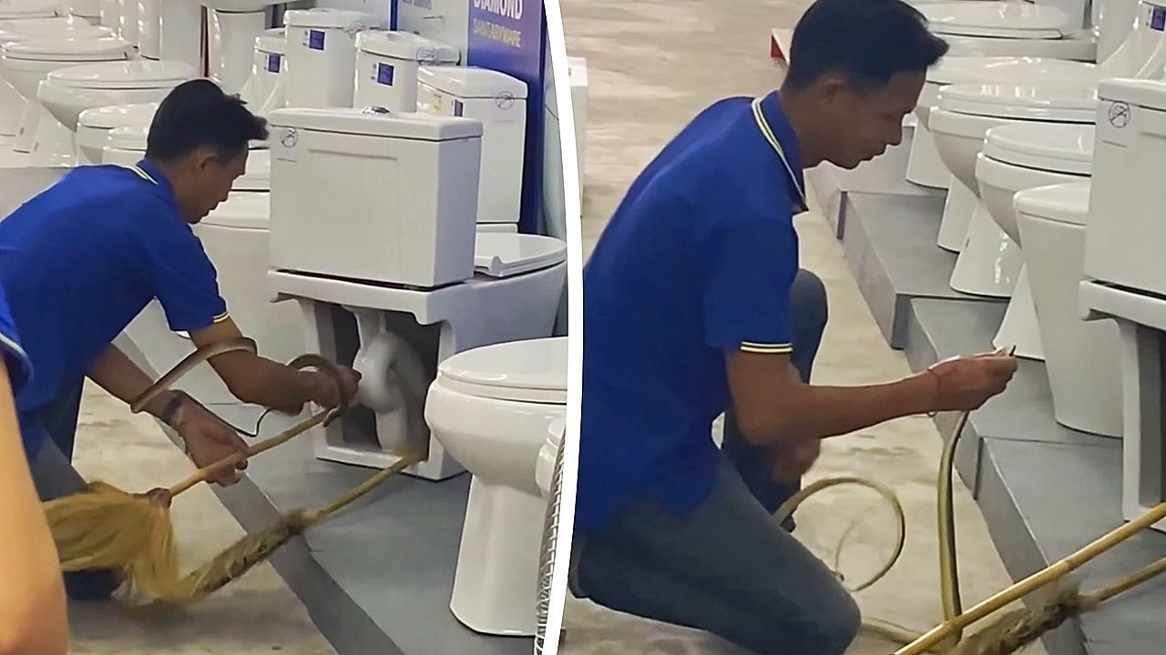 Video: Schlange versteckt sich in Klo – Baumarkt-Mitarbeiter wird zum Helden