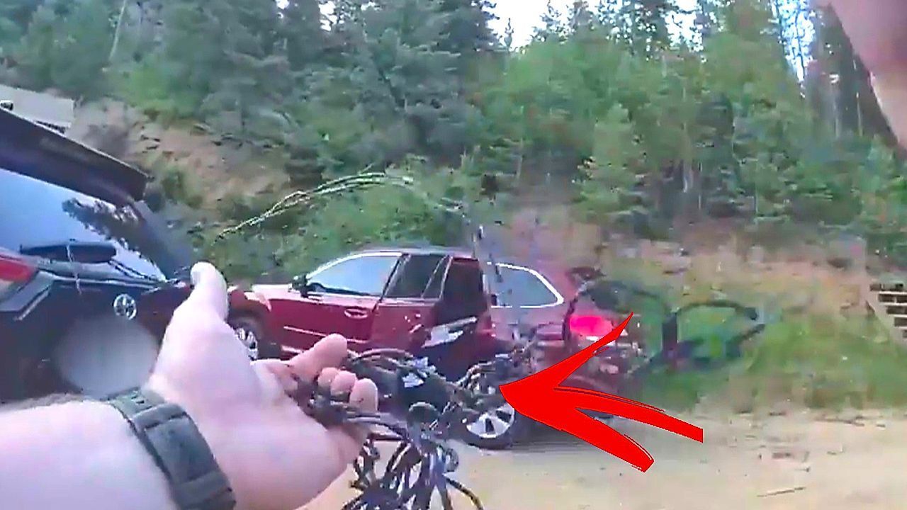 Bär sperrt sich in Auto ein – Polizist muss kreativ werden