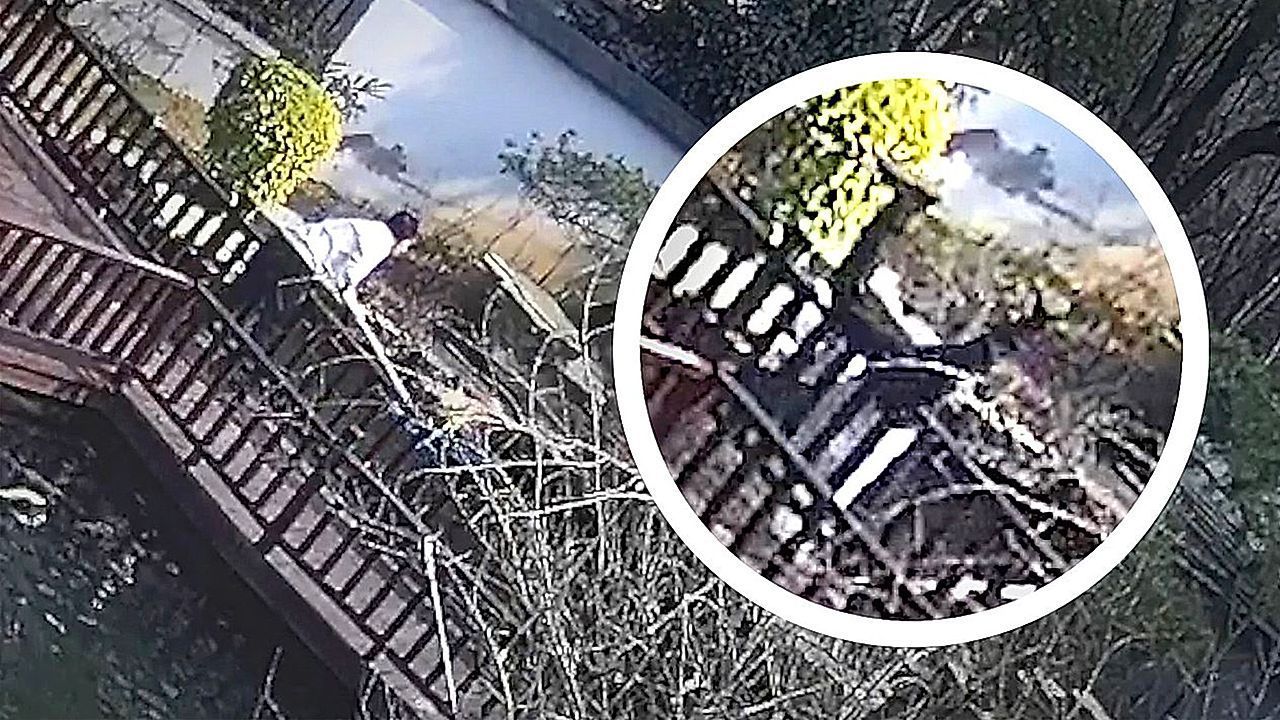 Huhn sitzt im Teich fest: Rettungsversuch nimmt unerwartete Wende