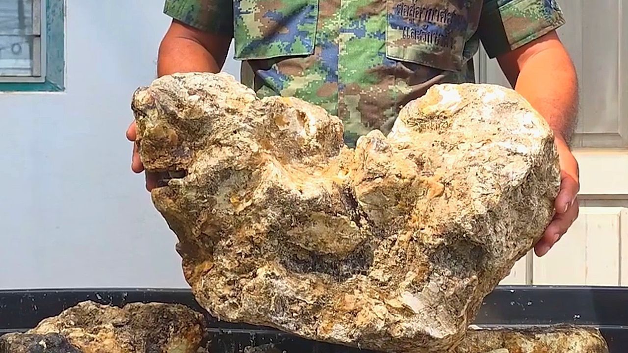 Whale waste find could turn Thai officer into a millionaire