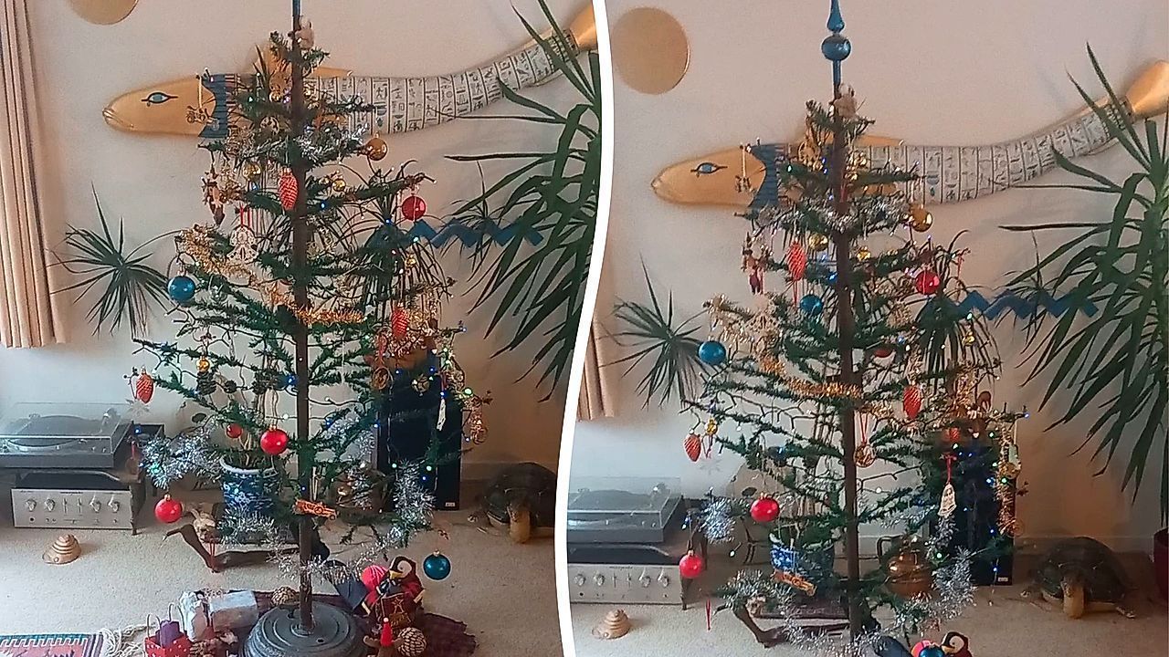 One of world's 'oldest Christmas tree' on display for 115th year in a row