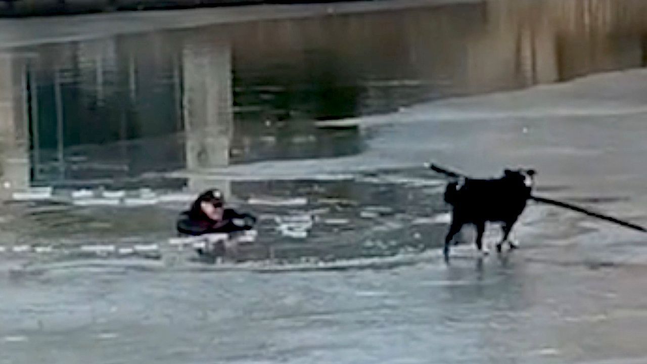 Video: Im Eis eingebrochen: Treuer Border Collie will Herrchen mit Ast retten