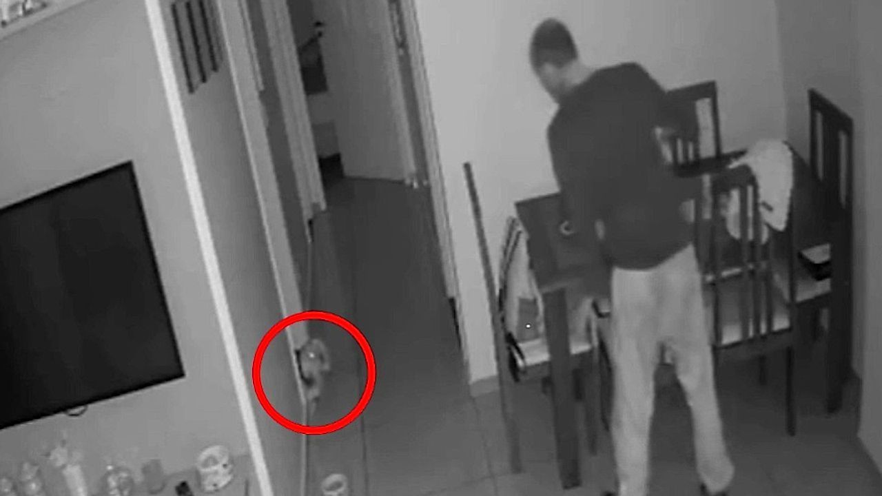 Video: Furchtloser Vierbeiner: Winziger Hund verjagt nächtlichen Einbrecher