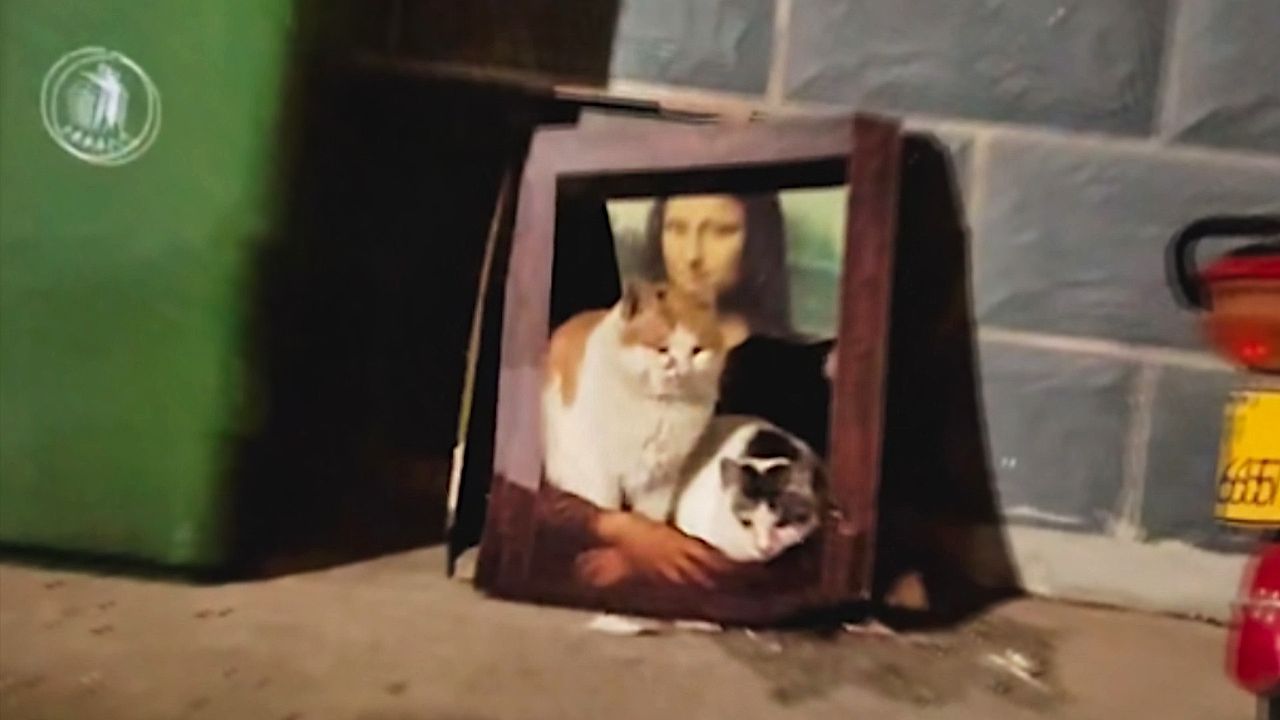 Video: Perfekte Tarnung: Katzen verschmelzen mit Mona Lisa