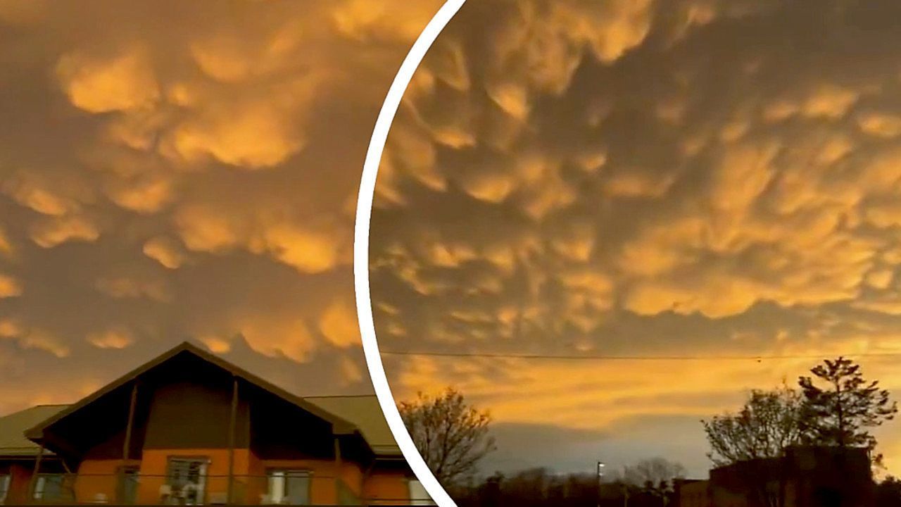 Video: Wie Wattebällchen: Seltene Mammatus-Wolken leuchten golden über Wisconsin