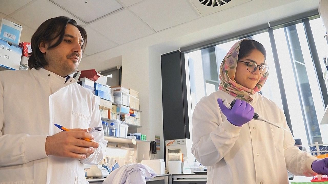 Video: Globales Forschungsprojekt: KI soll Überlebenschancen bei Eierstockkrebs deutlich verbessern