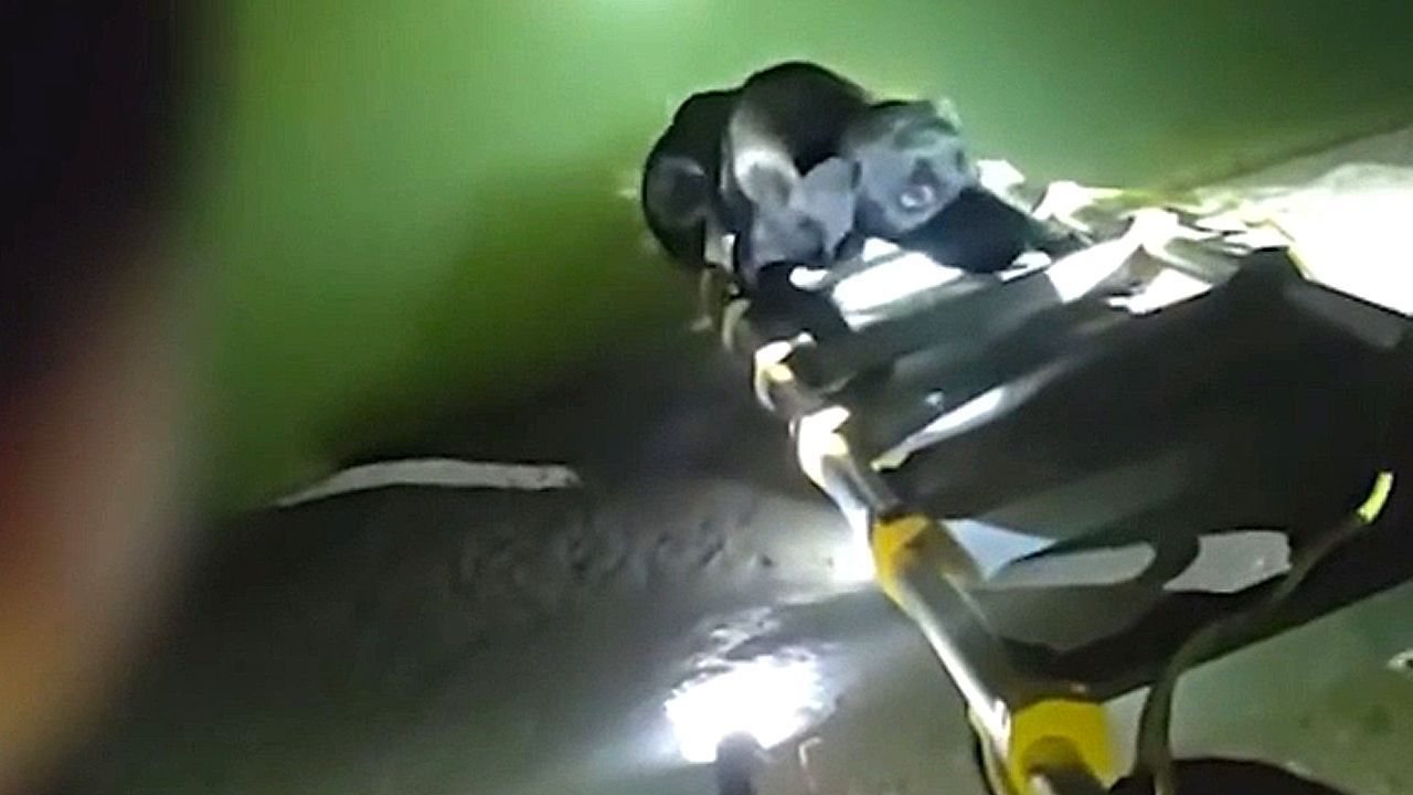 Video: Gefangen im Kanal: Polizisten und Tierschützerin retten Hund in Arizona