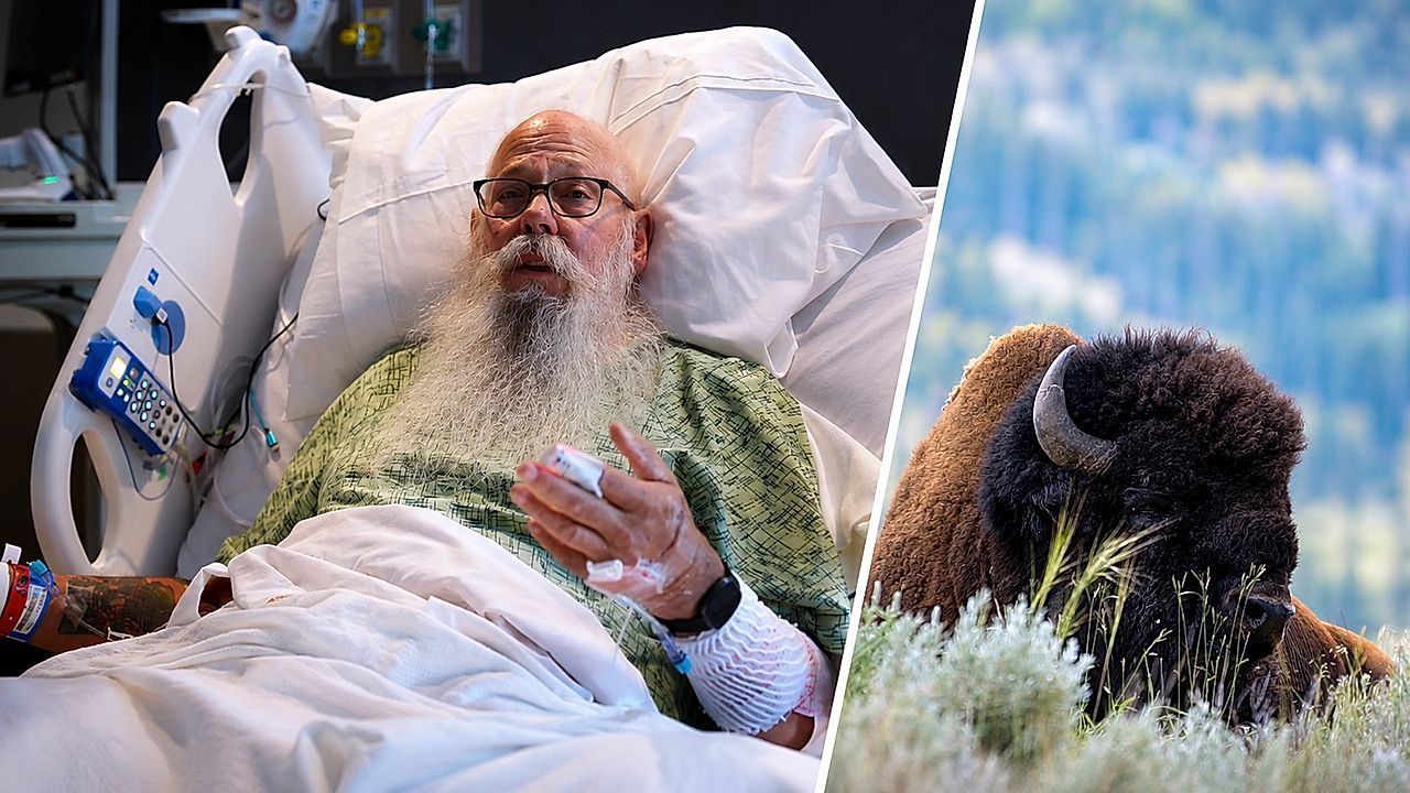 Video: Von Bison in die Luft geschleudert – jetzt spricht das Opfer